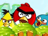 Angry Birds Bomber Bird