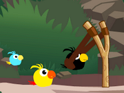 Cute Birds Forest