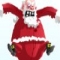 Santas Sleigh Bomber