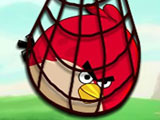 Surround Angry Bird